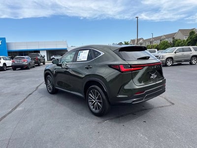 2024 Lexus NX NX 350 Premium