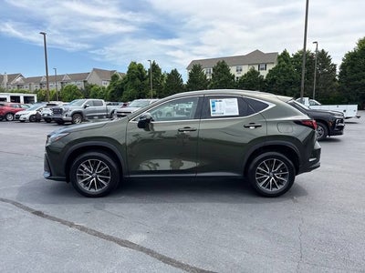 2024 Lexus NX NX 350 Premium
