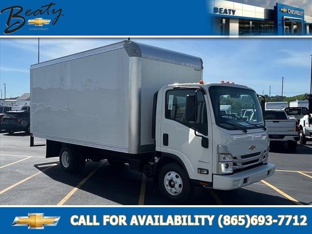 2024 Chevrolet Low Cab Forward 3500 MEDIUM ASH