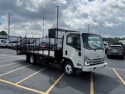 2024 Chevrolet Low Cab Forward 3500 MEDIUM ASH