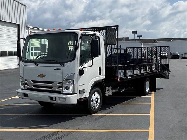2024 Chevrolet Low Cab Forward 3500 MEDIUM ASH