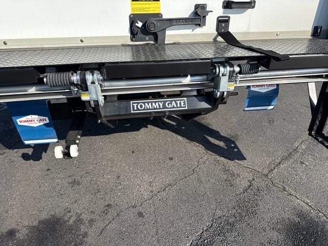 2025 Chevrolet Low Cab Forward 3500 MEDIUM ASH GRAY