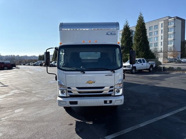 2025 Chevrolet Low Cab Forward 3500 MEDIUM ASH GRAY