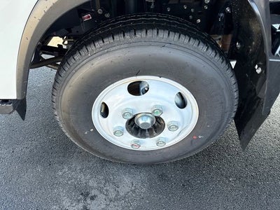 2025 Chevrolet Low Cab Forward 3500 MEDIUM ASH GRAY