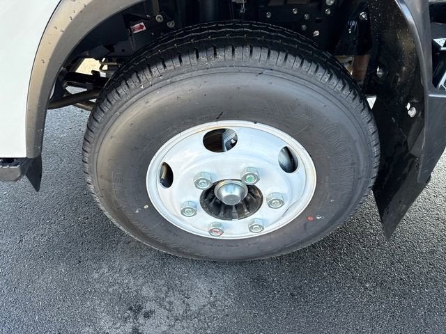 2025 Chevrolet Low Cab Forward 3500 MEDIUM ASH GRAY