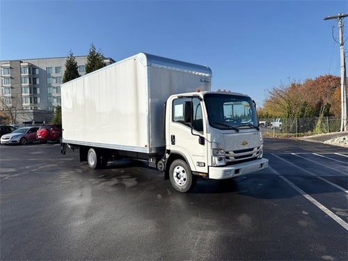 2025 Chevrolet Low Cab Forward 3500 MEDIUM ASH GRAY