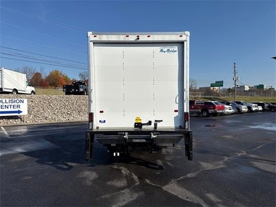 2025 Chevrolet Low Cab Forward 3500 MEDIUM ASH GRAY