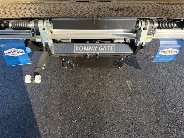 2025 Chevrolet Low Cab Forward 3500 MEDIUM ASH GRAY