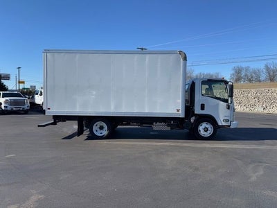 2024 Chevrolet Low Cab Forward 4500 MEDIUM ASH