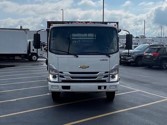 2024 Chevrolet Low Cab Forward 5500 XG MEDIUM ASH GRAY