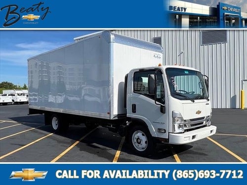 2024 Chevrolet Low Cab Forward 5500 XG MEDIUM ASH GRAY