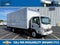 2024 Chevrolet Low Cab Forward 5500 XG MEDIUM ASH GRAY