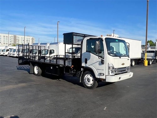 2024 Chevrolet Low Cab Forward 5500 XG MEDIUM ASH GRAY