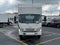 2024 Chevrolet Low Cab Forward 5500 XG MEDIUM ASH GRAY
