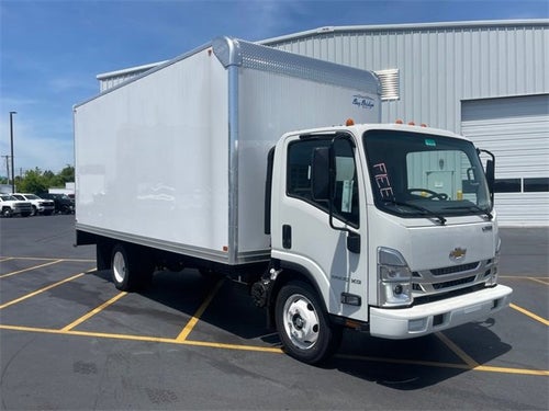 2024 Chevrolet Low Cab Forward 5500 XG MEDIUM ASH GRAY