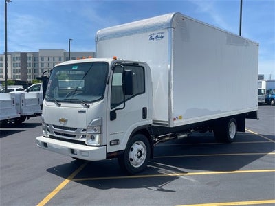 2024 Chevrolet Low Cab Forward 5500 XG MEDIUM ASH GRAY