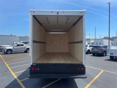 2024 Chevrolet Low Cab Forward 5500 XG MEDIUM ASH GRAY