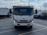 2024 Chevrolet Low Cab Forward 5500 XG MEDIUM ASH GRAY