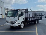 2024 Chevrolet Low Cab Forward 5500 XG MEDIUM ASH GRAY