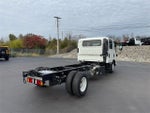2024 Chevrolet Low Cab Forward 4500 HD MEDIUM ASH GRAY