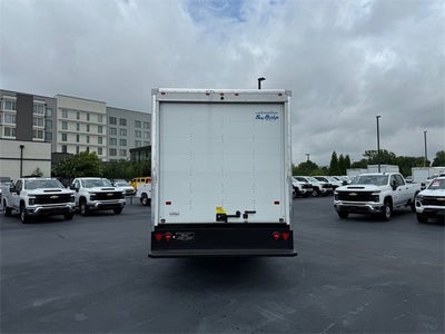 2024 Chevrolet Low Cab Forward 4500 HD MEDIUM ASH GRAY